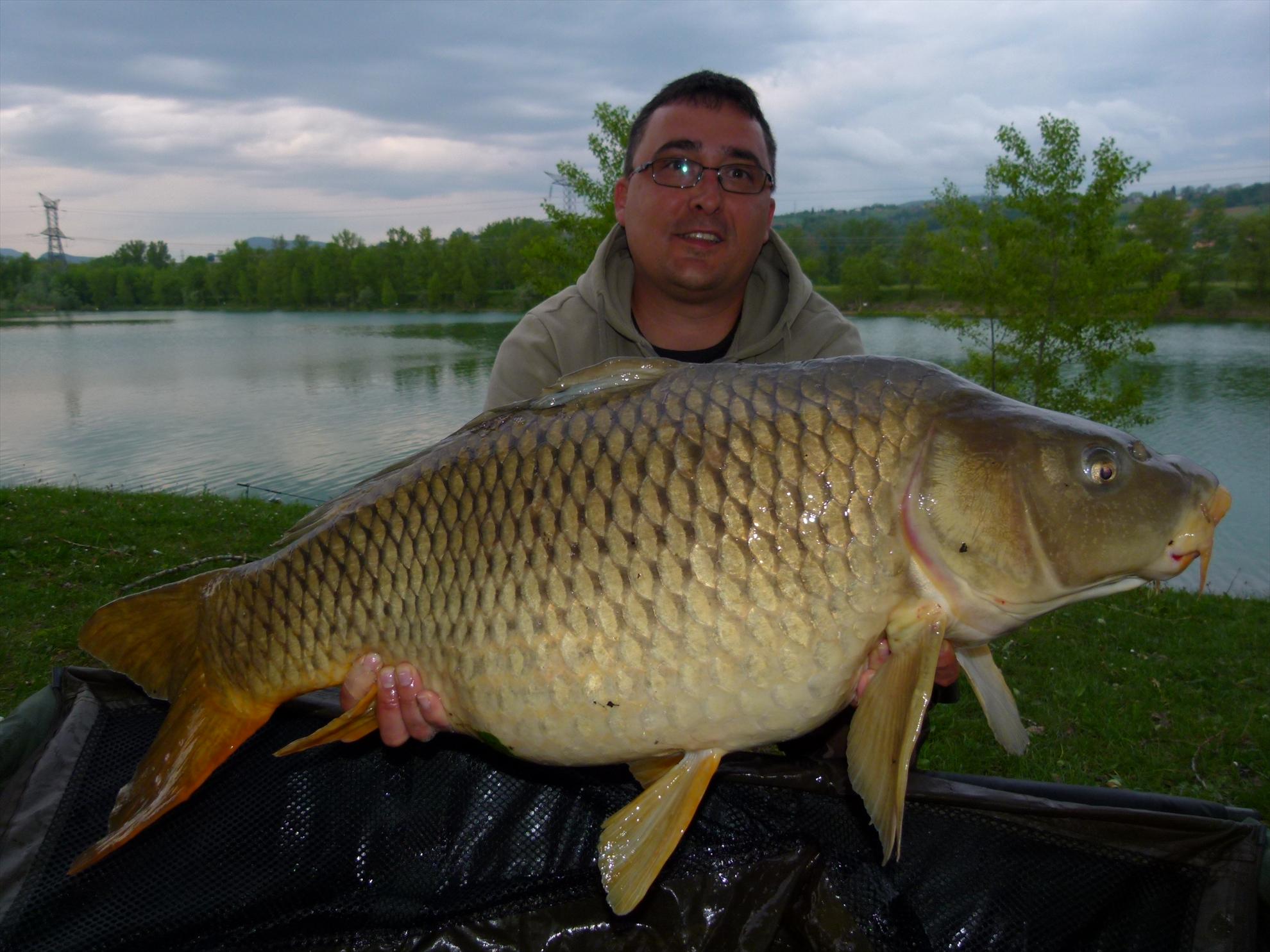 THE BIGS OF 2012 - p1000031.JPG